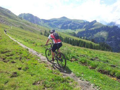StP_MTB_2014_019